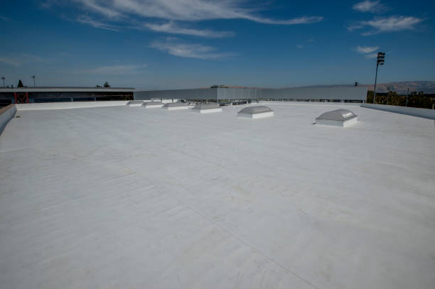 Best Roof Maintenance  in Springfield, MI