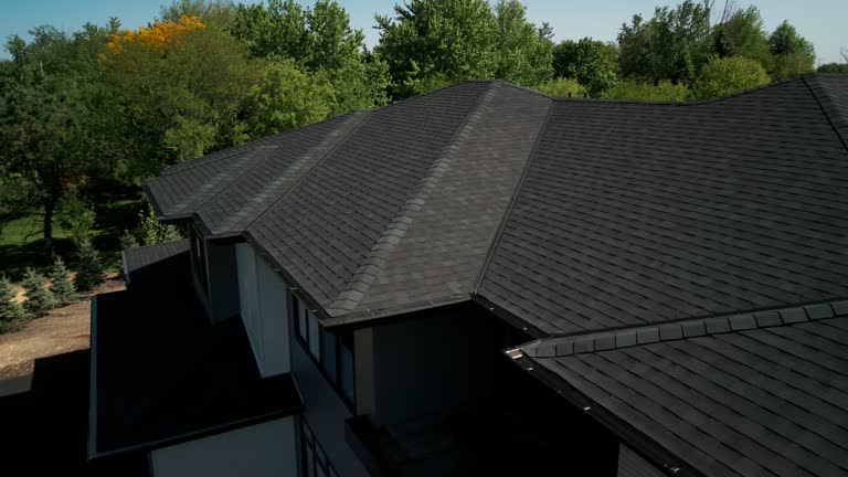 Best Hot Roofs  in Springfield, MI