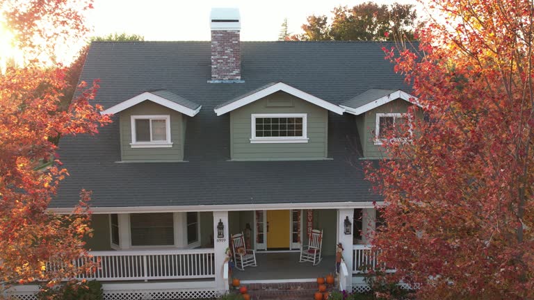Best Green or Eco-Friendly Roofing Solutions  in Springfield, MI