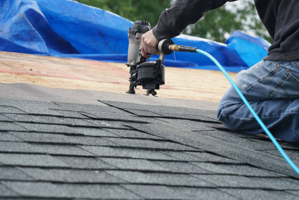 Best Solar Panel Roofing Installation  in Springfield, MI