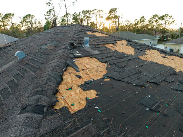 Best Asphalt Shingles Roofing  in Springfield, MI