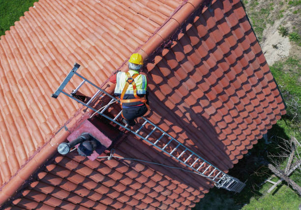 Best Roof Maintenance and Cleaning  in Springfield, MI