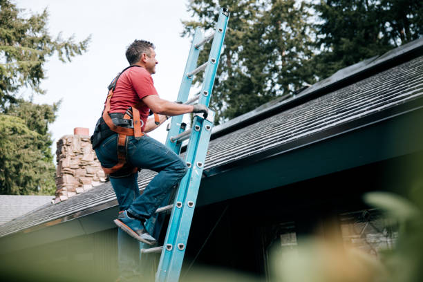 Best Roof Installation  in Springfield, MI
