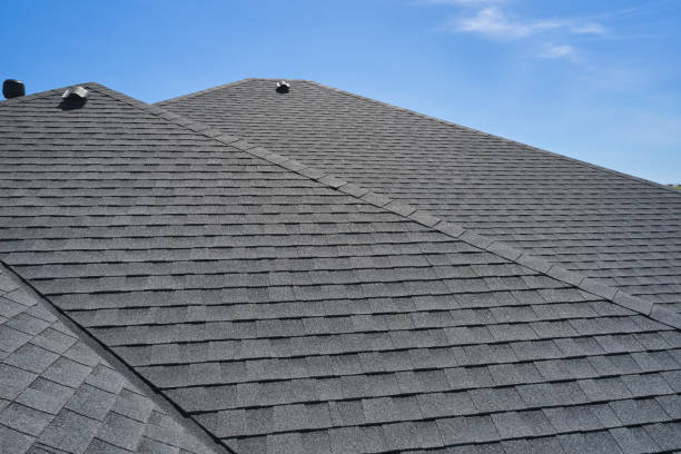 Best Roof Coating and Sealing  in Springfield, MI